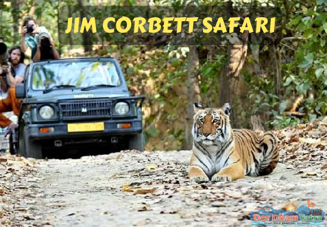 Jim Corbett National Park