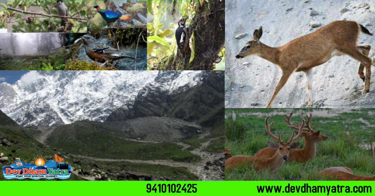 Kedarnath Wildlife Sanctuary