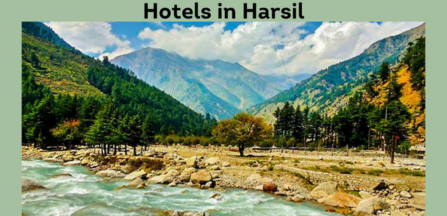 Hotels in Harsil