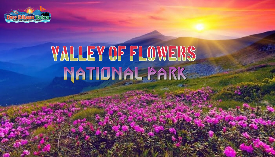 Valley of Flowers