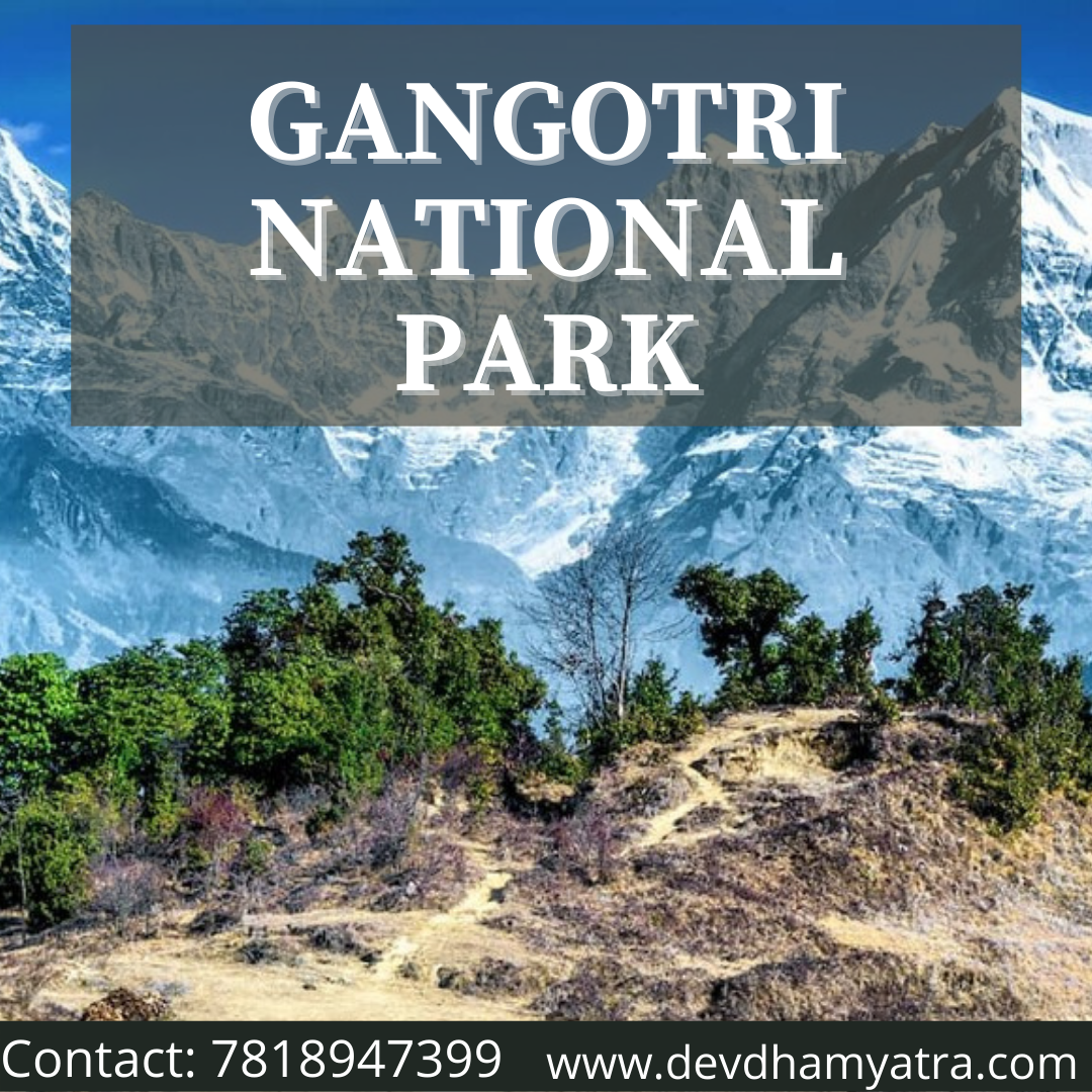 Gangotri National Park, Gangotri National Park Treks, Travel Guide, Gangotri National Park complete detail, Gangotri National Park (Uttarkashi), gangotri national park information, gangotri national park trek.