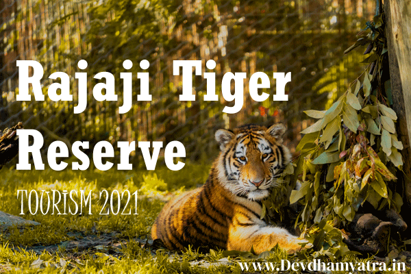 Rajaji Tiger Reserve Tourism 2023 | Uttarakhand -DevdhamYatra