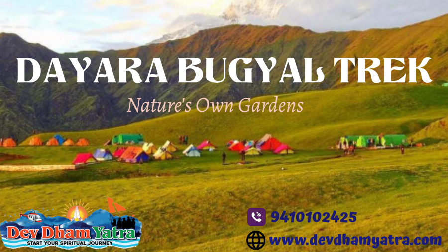 Dayara Bugyal Trek, Uttarakhand: