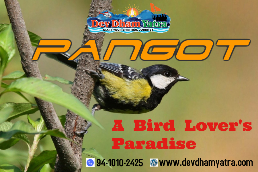 Pangot-“A Bird Lover’s Paradise” in Nainital, Uttarakhand