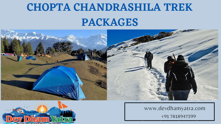 Chopta Chandrashila Trek Packages