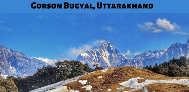 Gorson Bugyal (Auli) , Uttarakhand