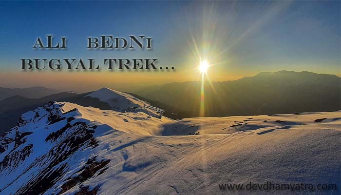 Ali Bedni Bugyal Trek adventure travel | All About Ali Bedni Bugyal Trek Uttarakhand