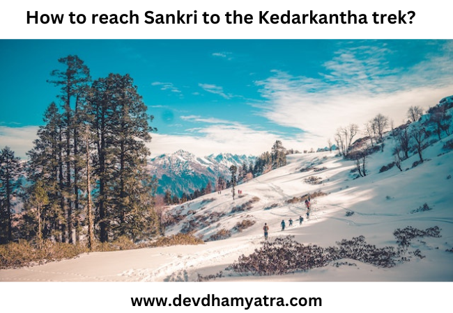 How to reach Sankri to KedarKantha trek