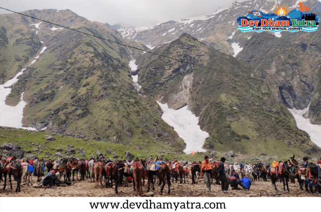 Kedarnath : Now Horses and Mules will Run on Rotation Basis
