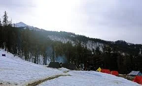 local Sankri experience