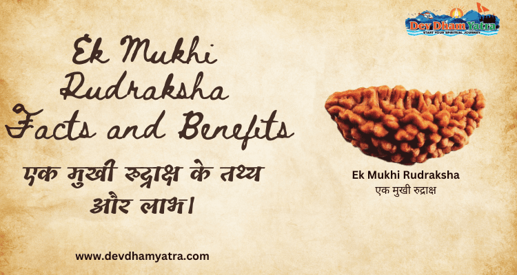 ek mukhi rudraksha - facts and benefits