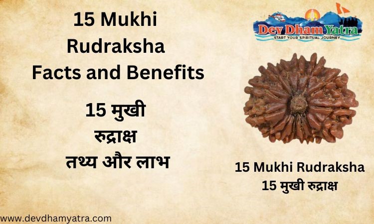 15 Mukhi Rudraksha – Facts and Benefits