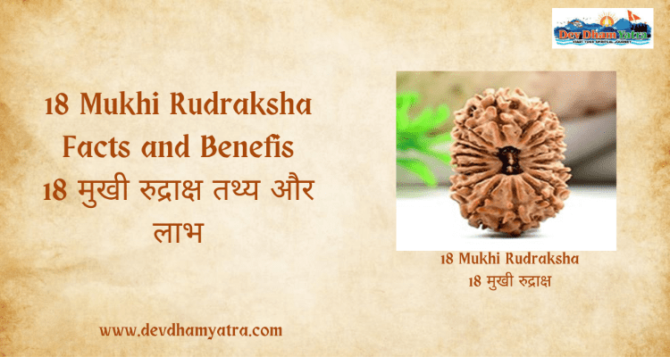 18 Mukhi Rudraksha - Facts and Benefits