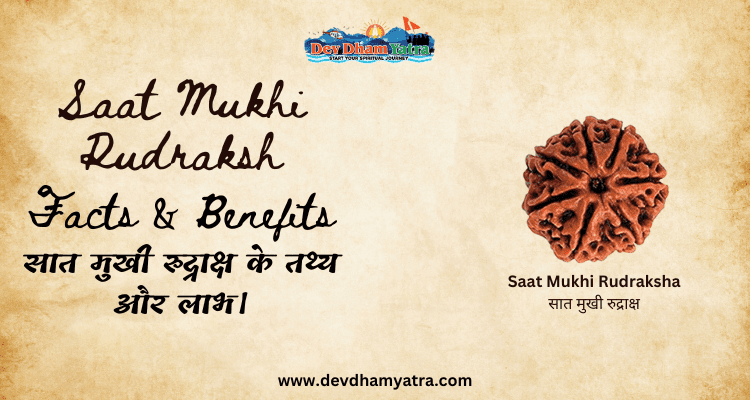 saat mukhi rudraksha