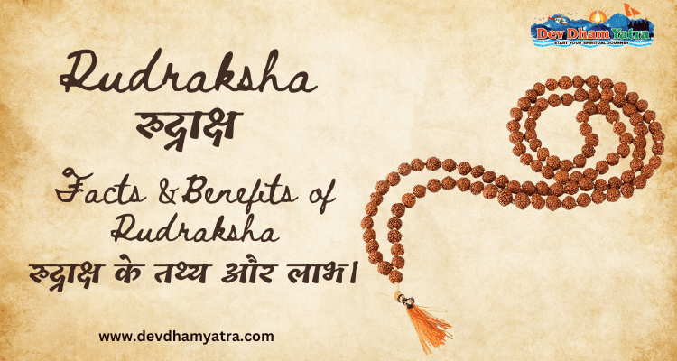 Rudraksha - facts and benefits