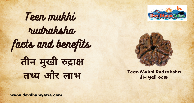 Teen mukhi rudraksha- facts and benefits