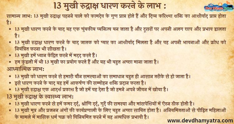 benefits of 13 mukhi rudraksha