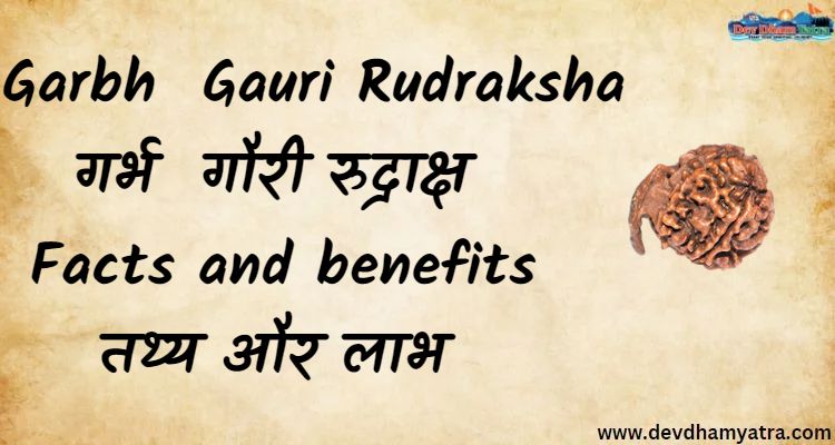 Garbh Gauri Rudraksha