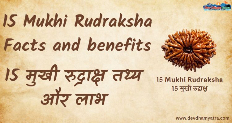 15 Mukhi Rudraksha