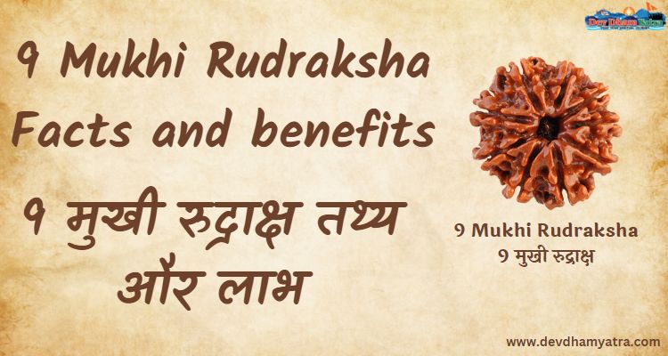 9 Mukhi Rudraksha