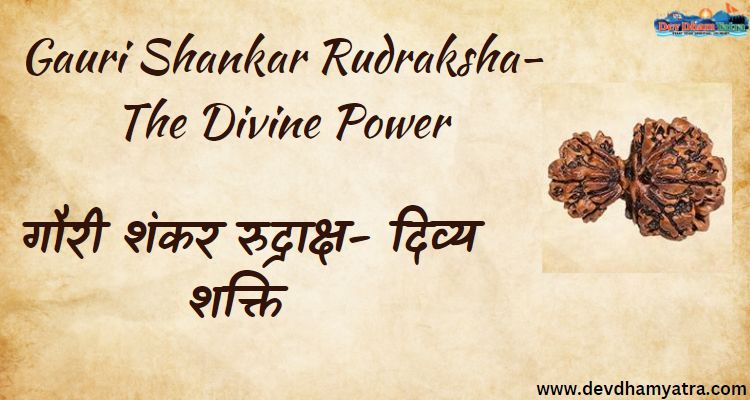 Gauri shankar rudraksha