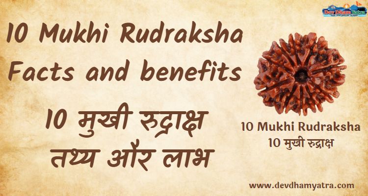 10 Mukhi Rudraksha