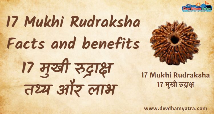 17 Mukhi Rudraksha Feature image