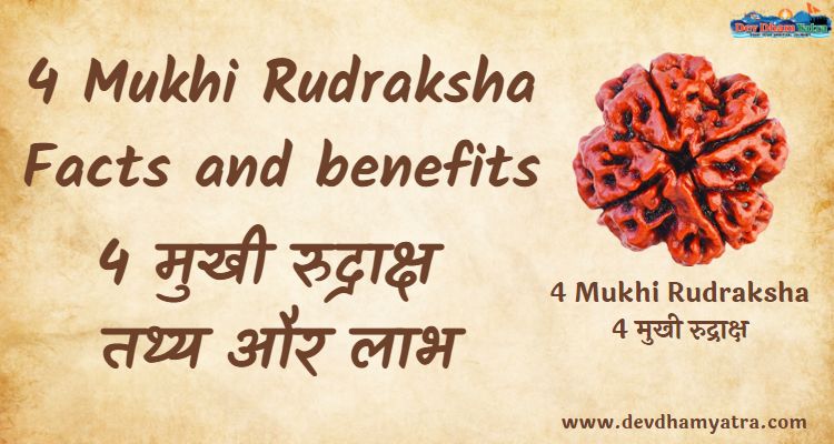 4 Mukhi Rudraksha feature image