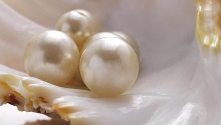 Pearl Gemstone