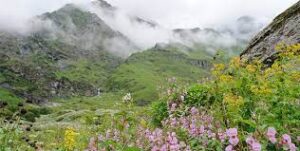 kedarnath valley