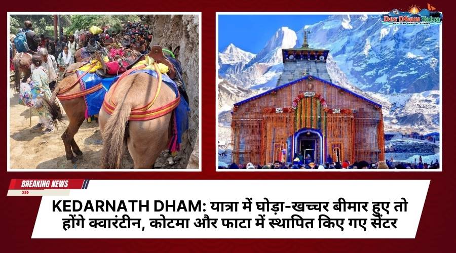 केदारनाथ