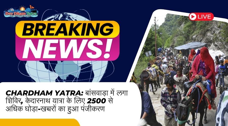 घोड़ा-खच्चरों