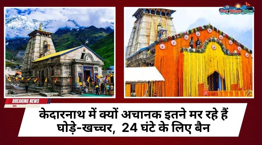 केदारनाथ